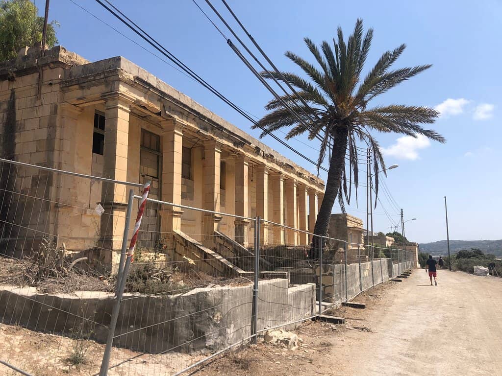 Endemic Flora & Nesting Birds