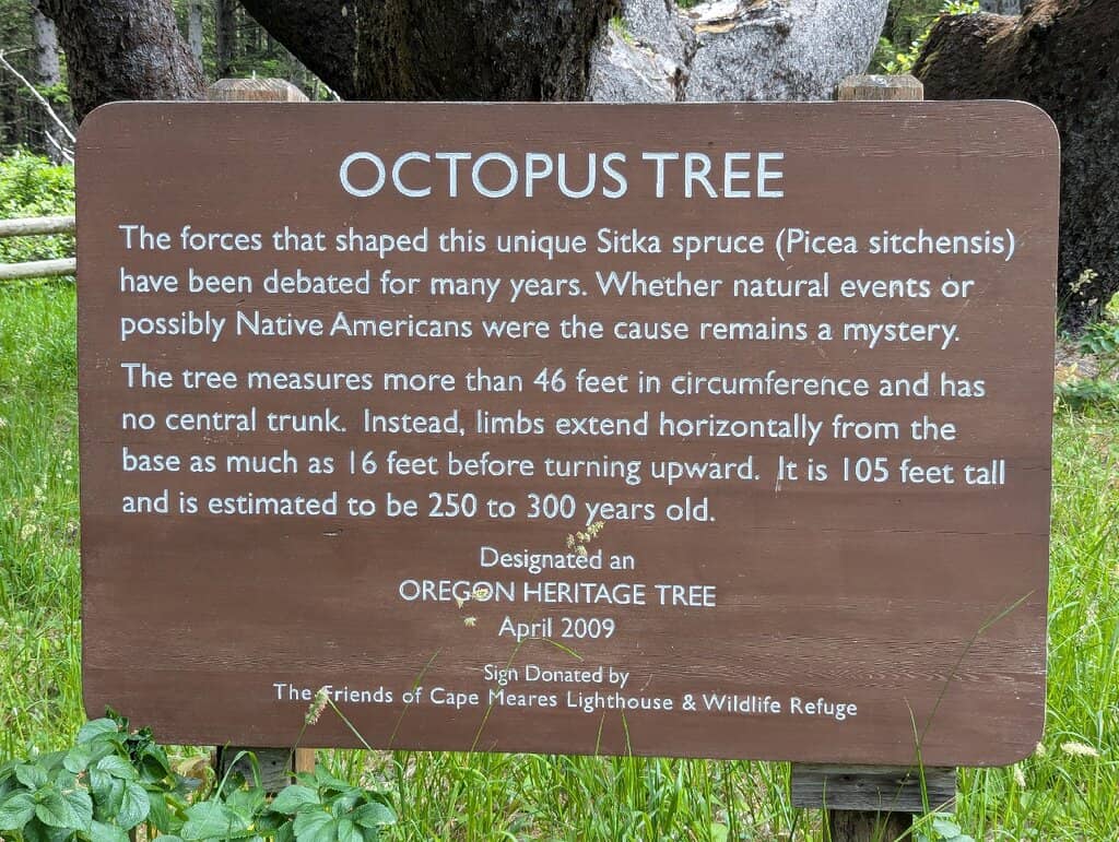 Cavalleria Lighthouse