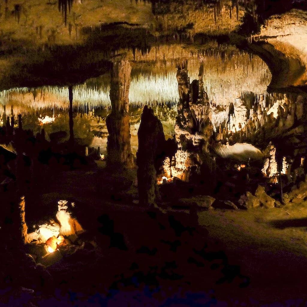 Informative Guided Tours