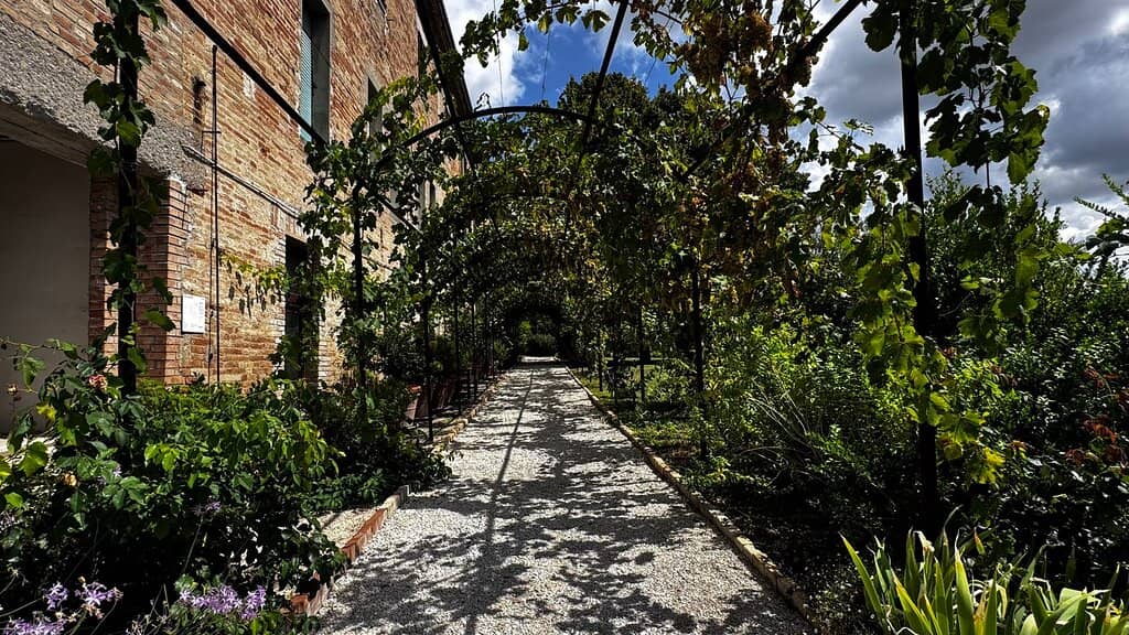 Panoramic Marche Hills View