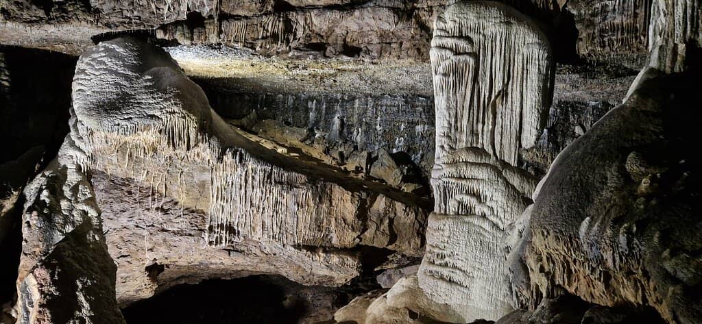 Viking Massacre Site