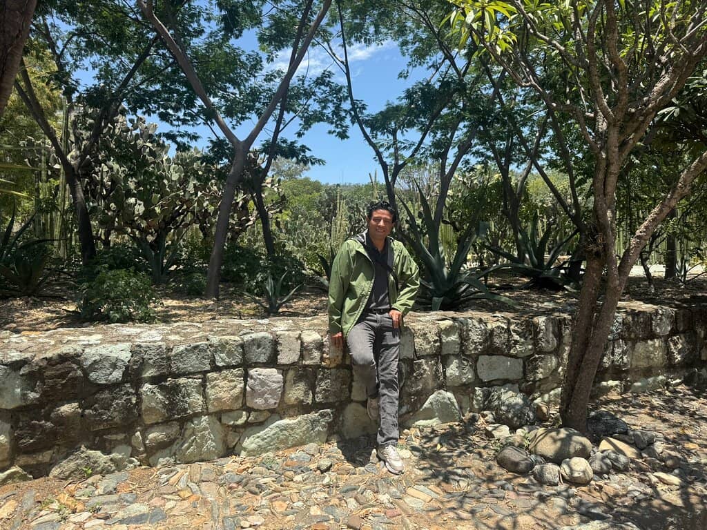 Cactus and Agave Collection