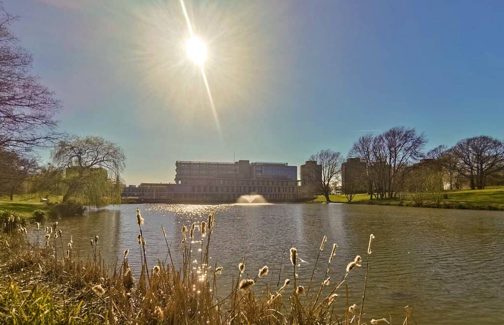 Ancient Woodland Trails