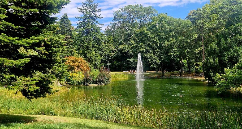 Observation Tower Views