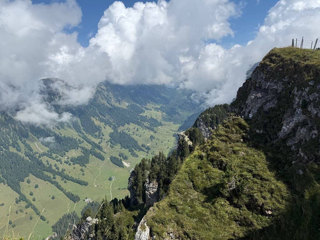 Alpine Ibex Spotting