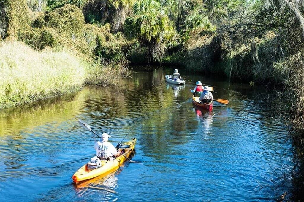 Competitive & Cooperative Play