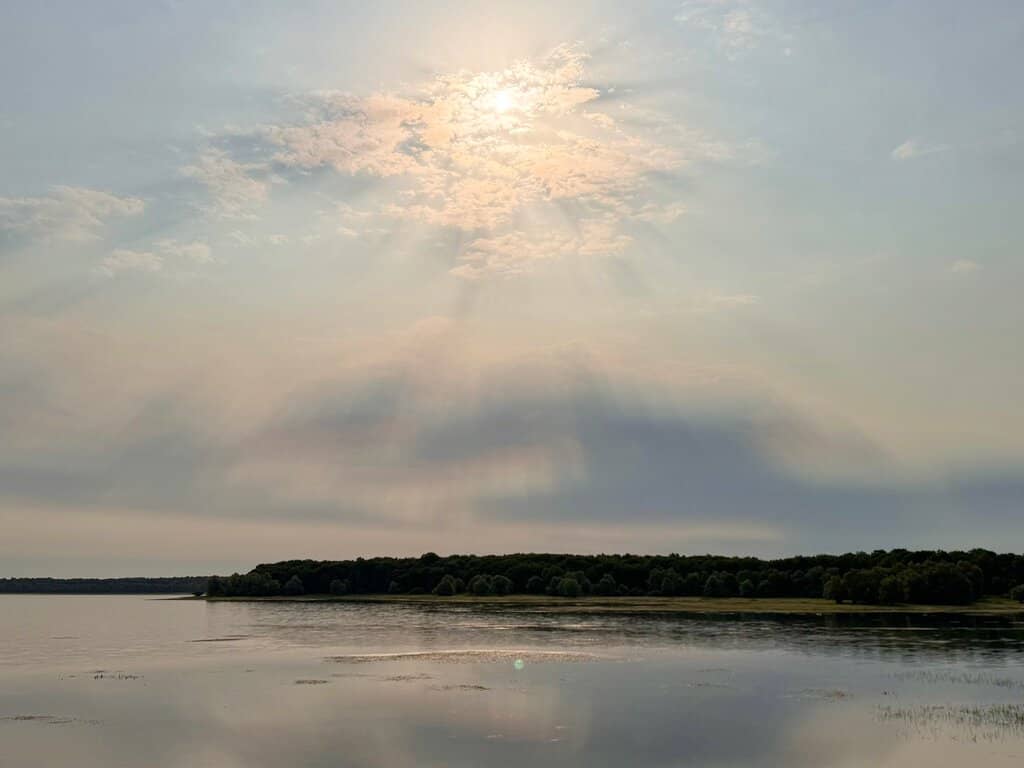 Birdwatching Hotspots