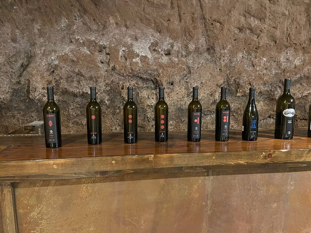 Wine Tasting Experience