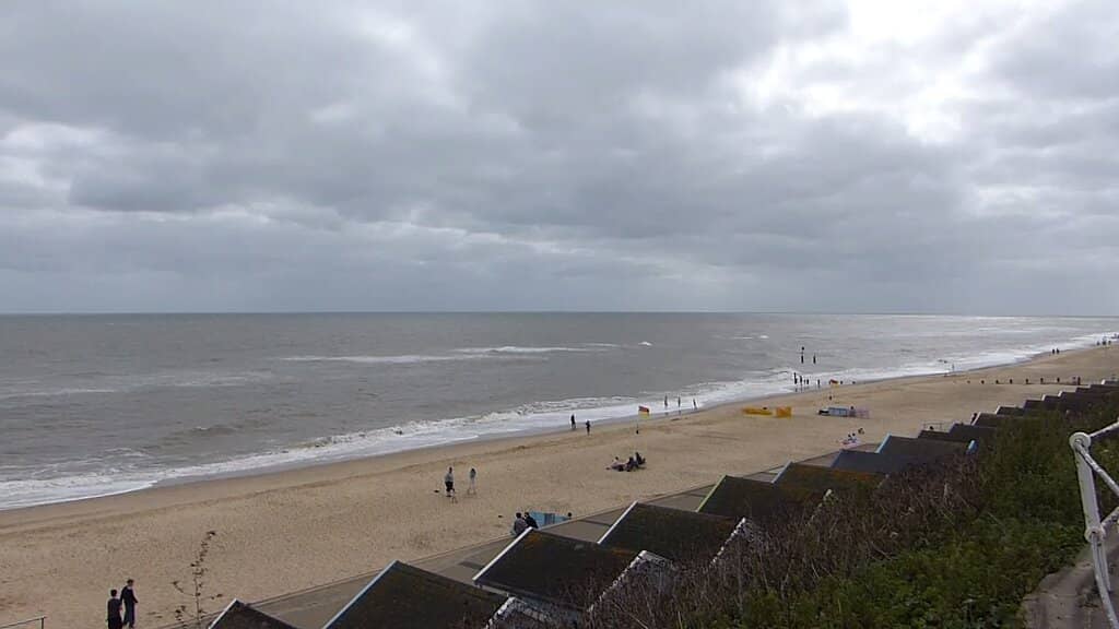 Dog-Friendly Freedom