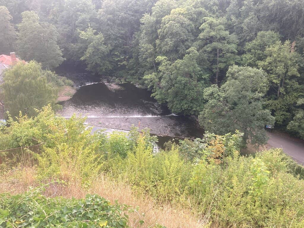 River Nidd Boat Hire