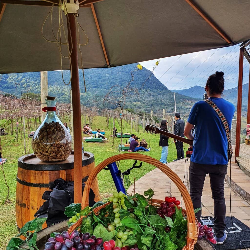 Vineyard Views & European Charm