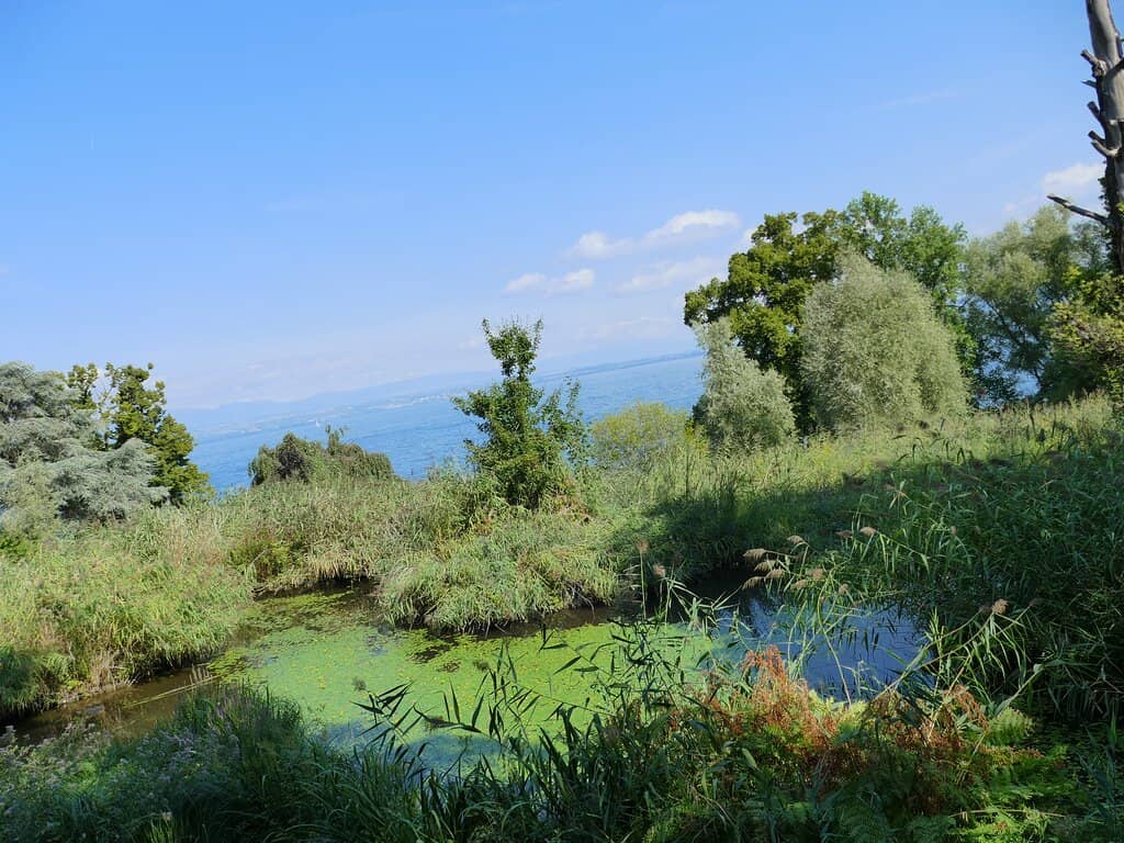 Family-Friendly Activity Area