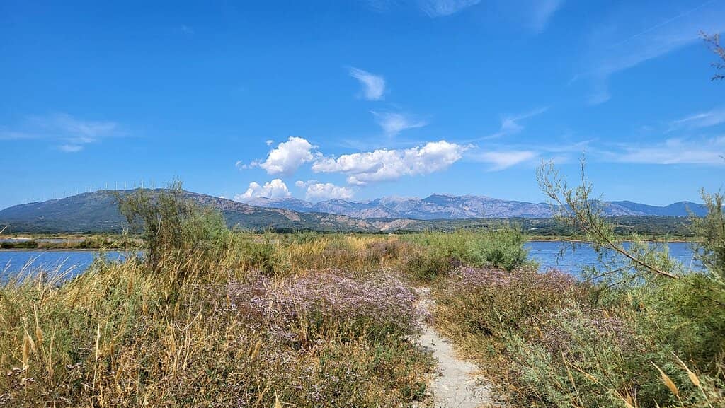 Unique Salt Landscape
