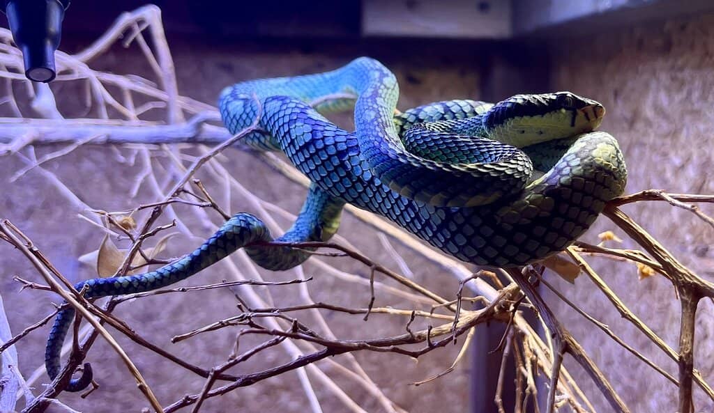 Owner's Engaging Tours