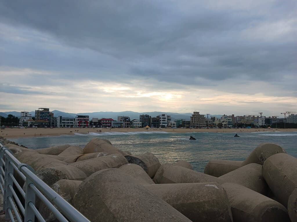The Sandy Shoreline