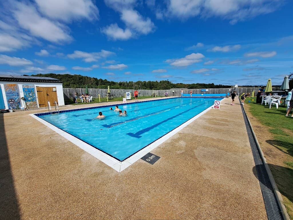 Moonlight and Meteor Swims