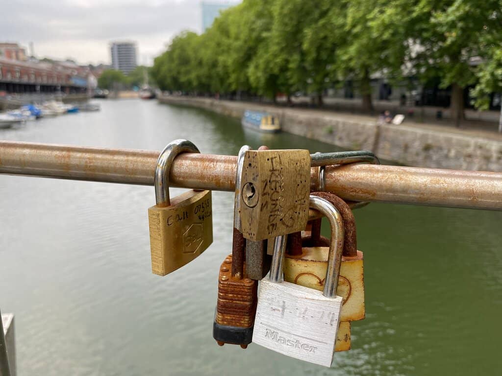 The Iconic 'Shrek's Ears'