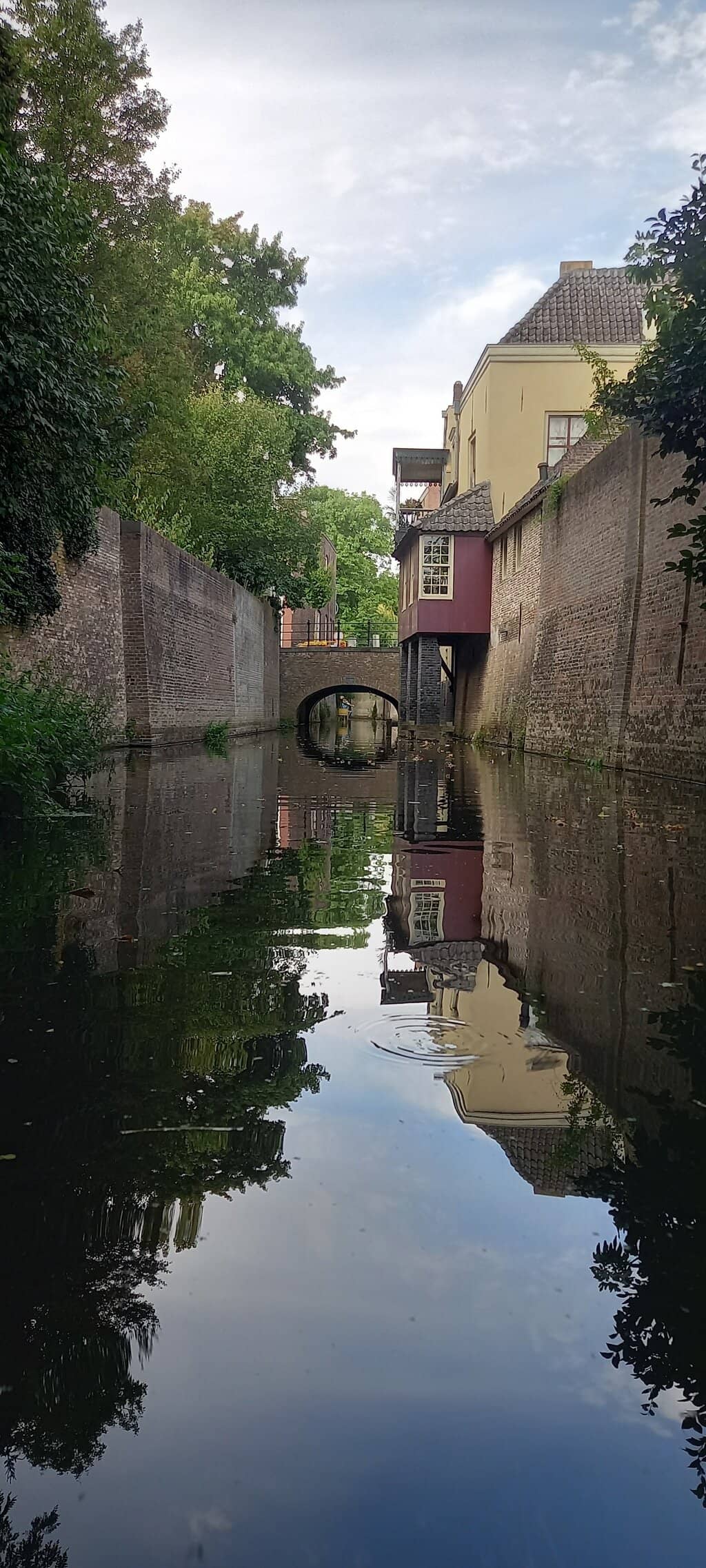 Unique Architectural Views