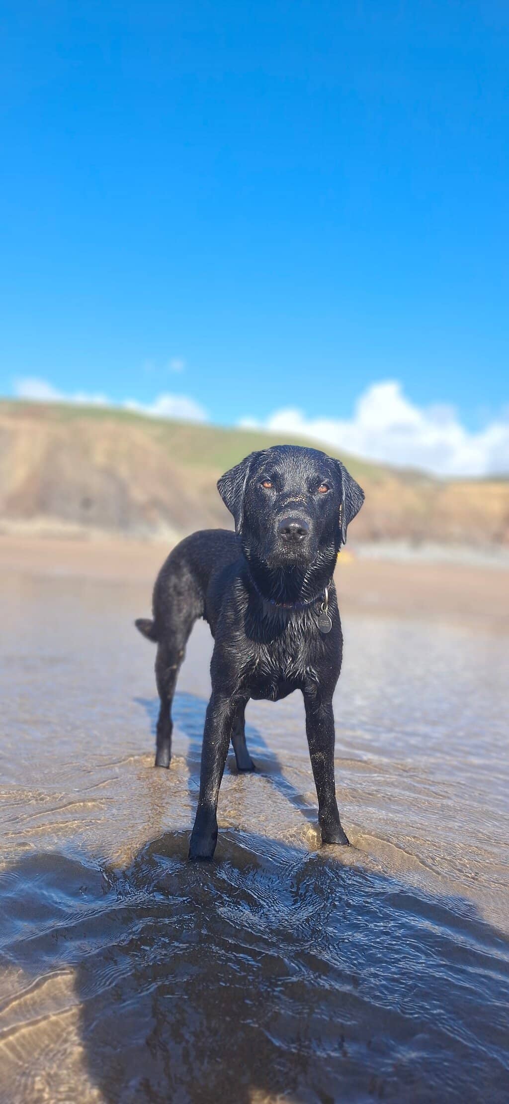 Expansive Rock Pools