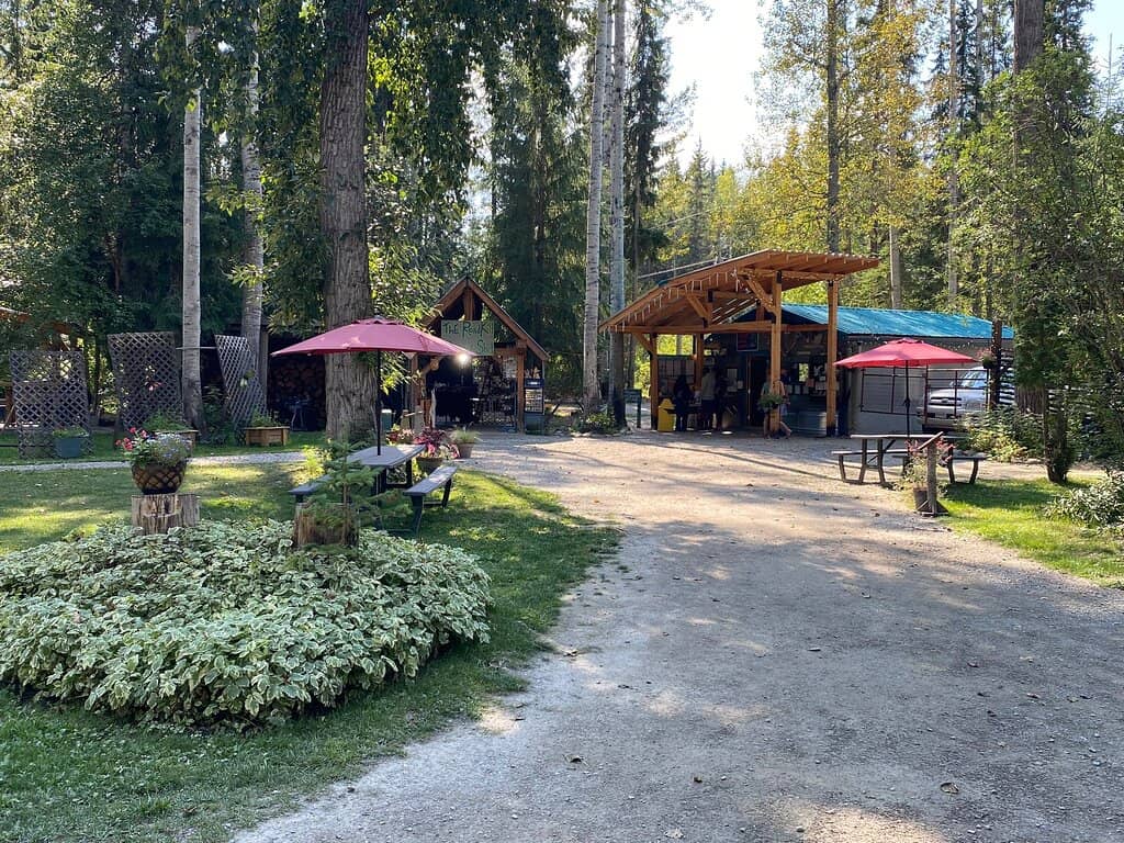 Educational Insights