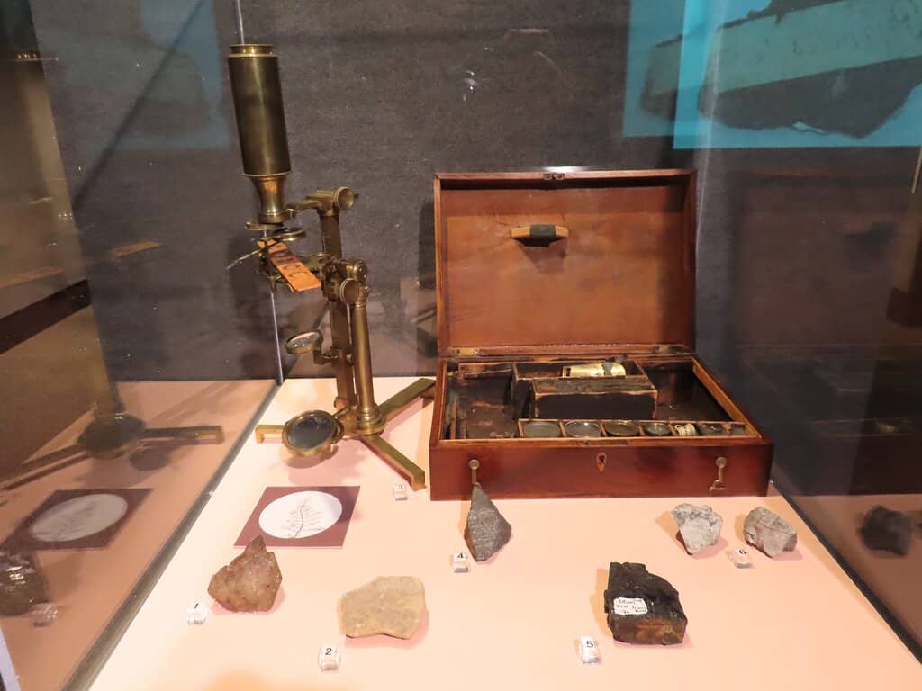 University of South Carolina History