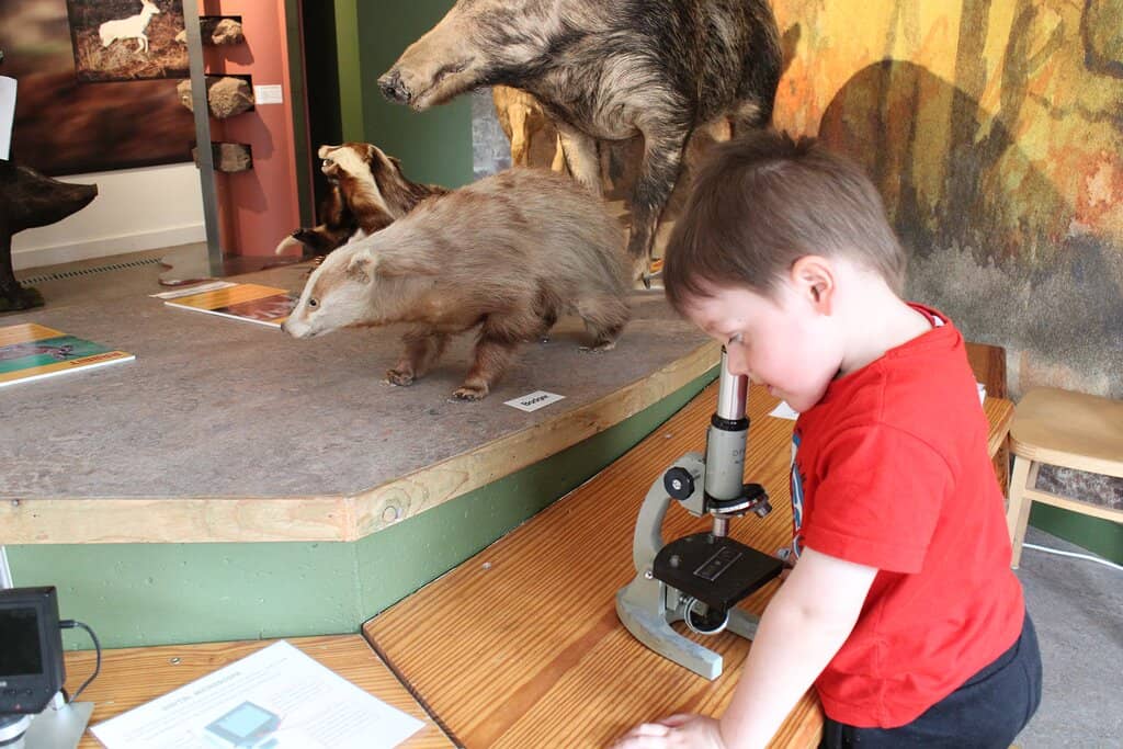 Reconstructed Cottages & Workshops
