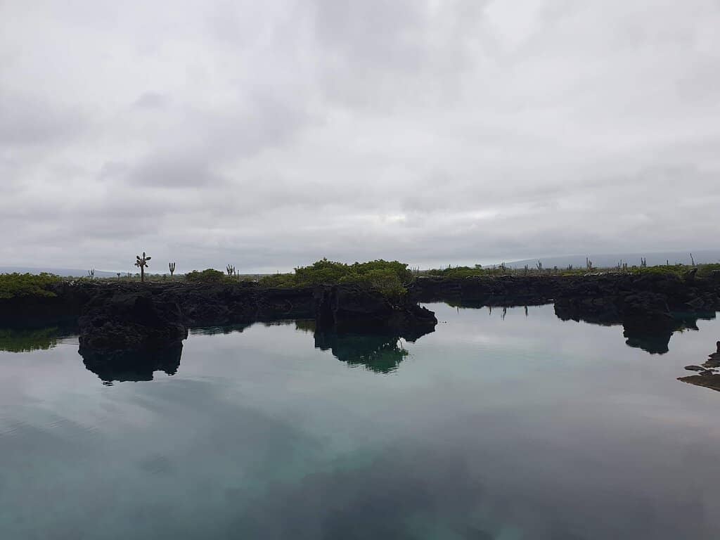 Birdwatching Opportunities