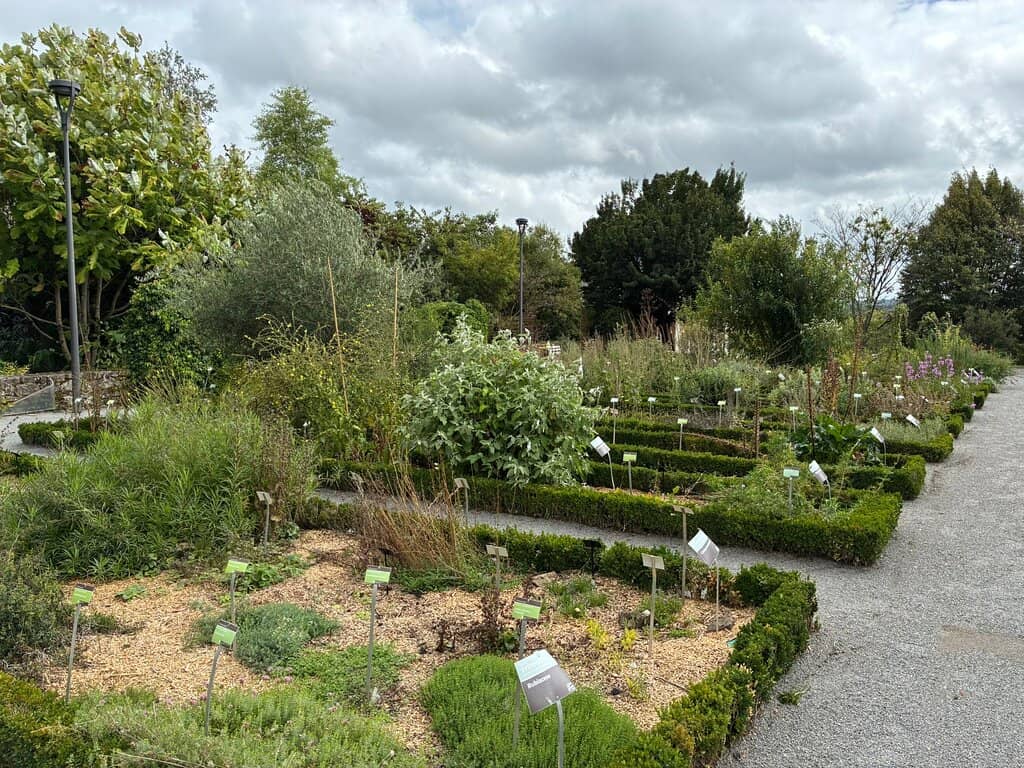 Tranquil Evening Strolls