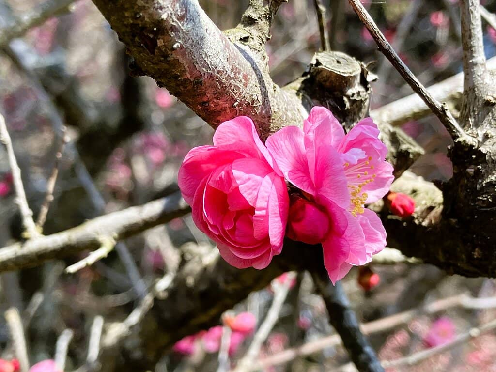 Scenic Seta River Views