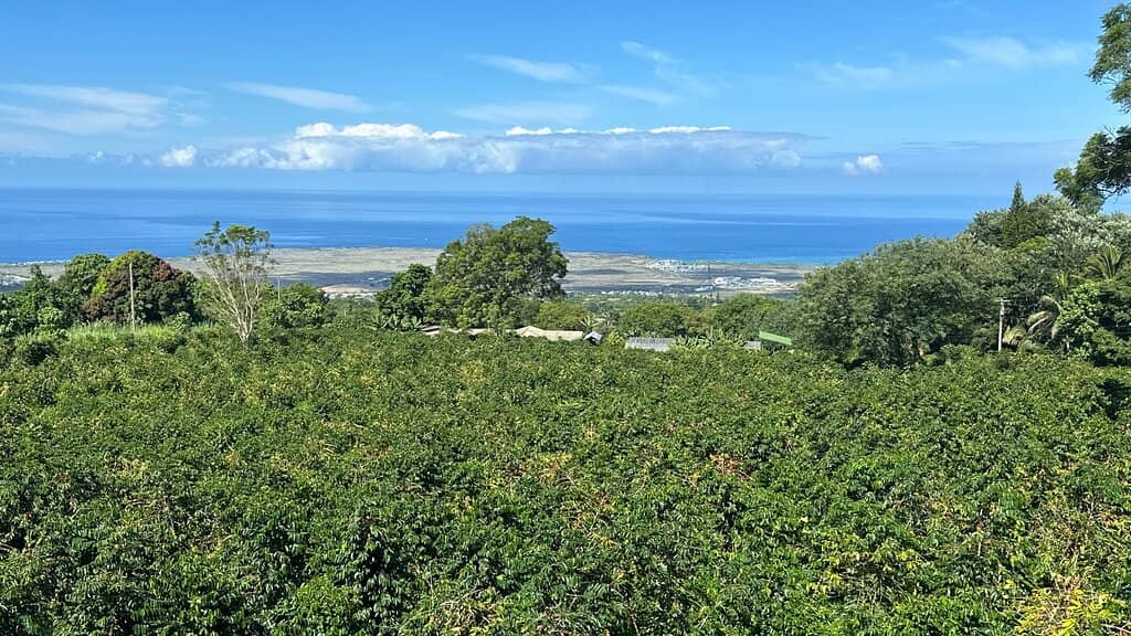 Ocean View from the Farm