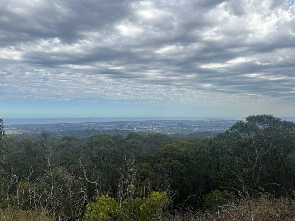 Mount Lofty Summit Cafe