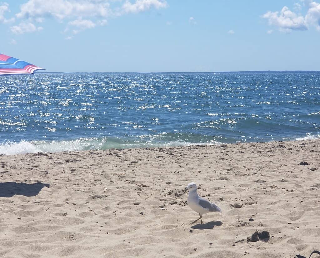 Secluded Woodland Trails