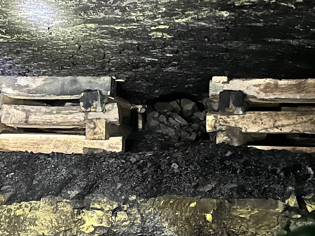 Svalbard's Living History