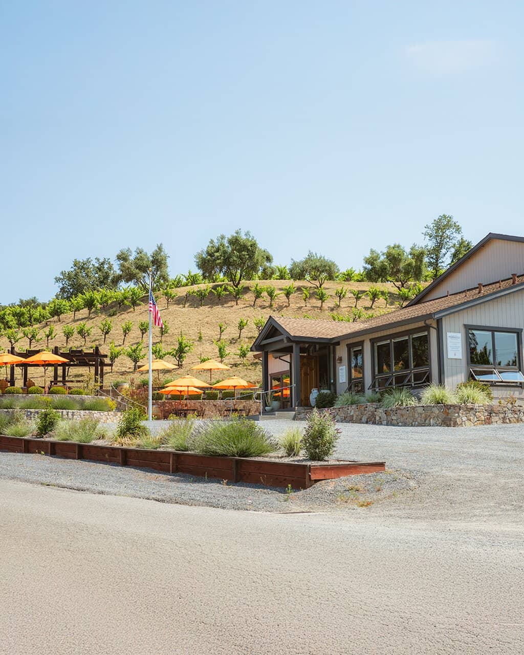 Exceptional Zinfandels