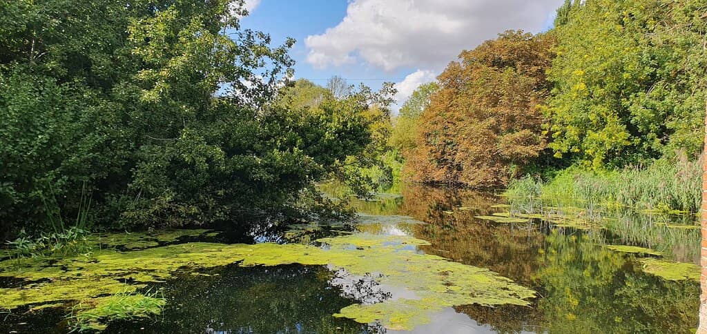 Picturesque Mill Pond
