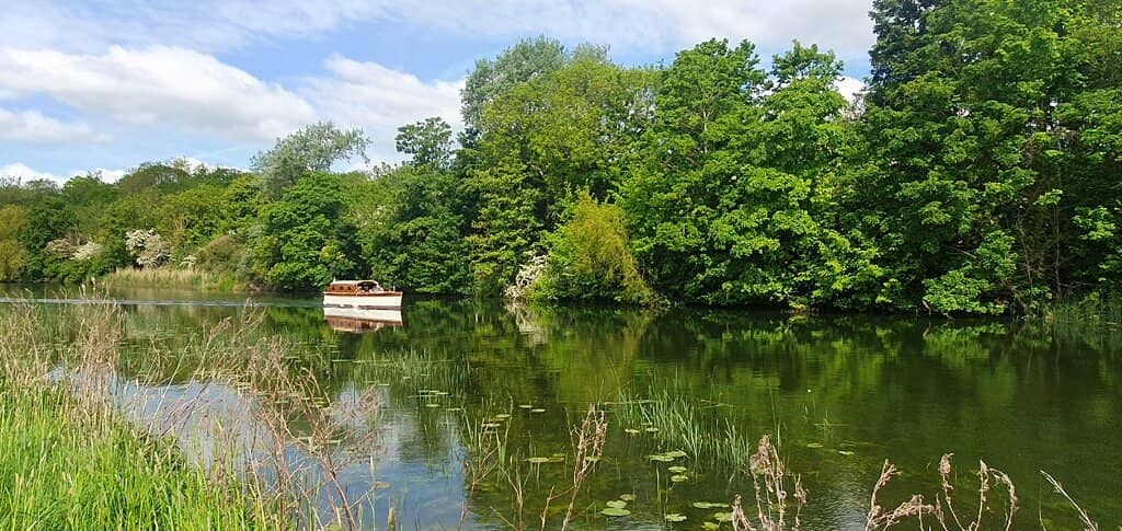 The Working Water Wheel