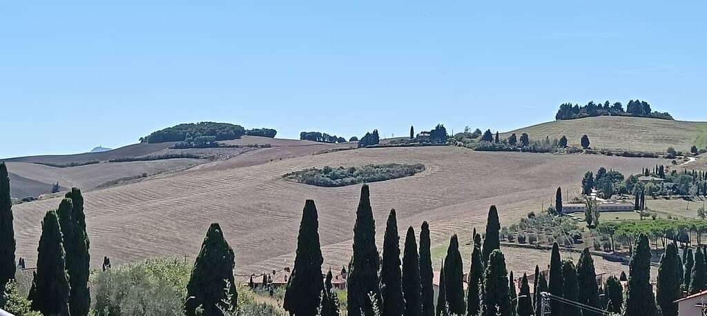 Medieval Village Charm