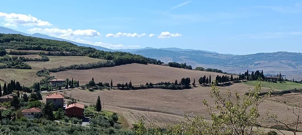 The Famous Cypress Road