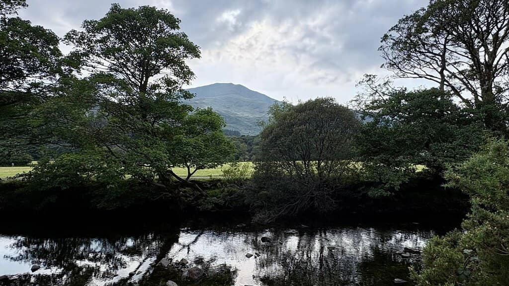 Riverside Trail Magic