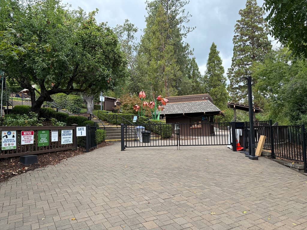 Preferred Standing Room