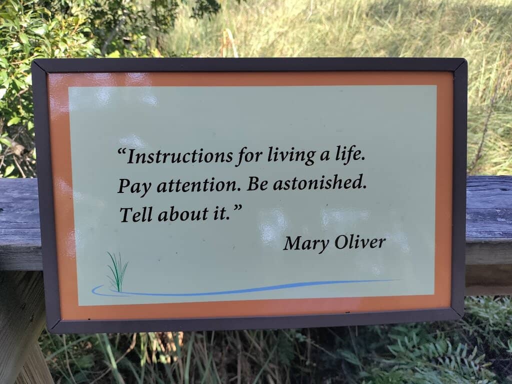 Accessible Boardwalks