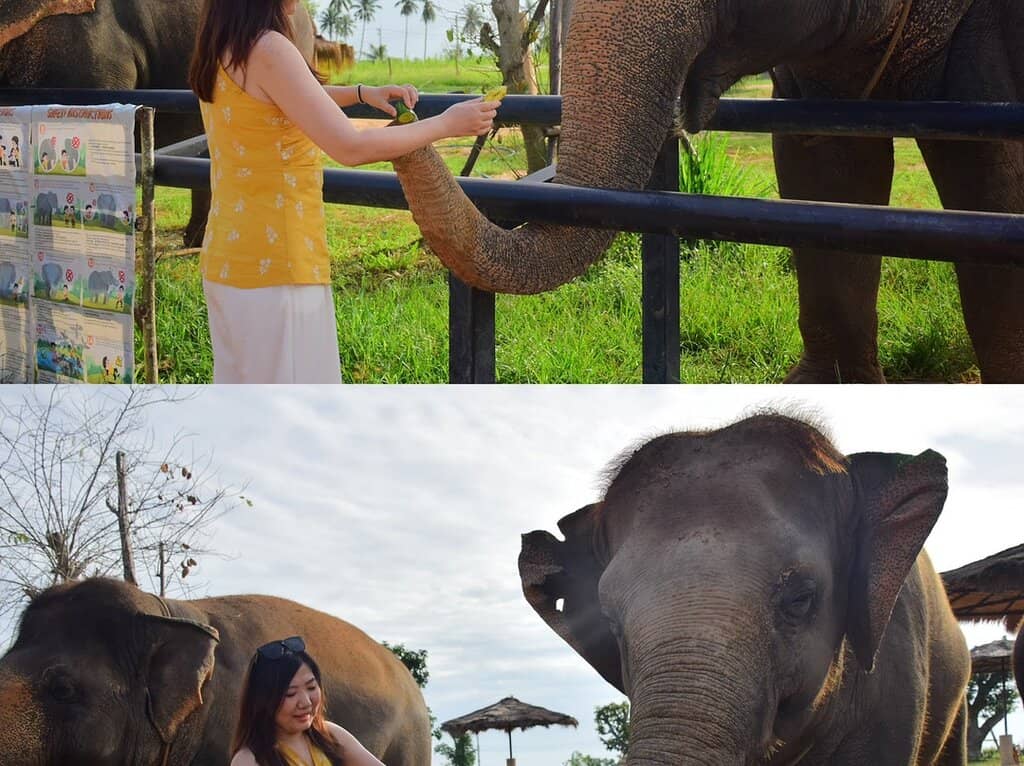 Mud Bath & Water Play