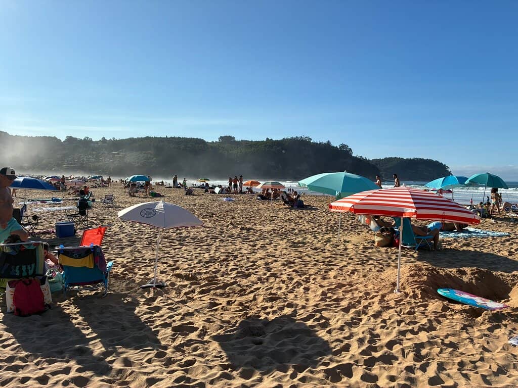 Wooden Boardwalk Stroll