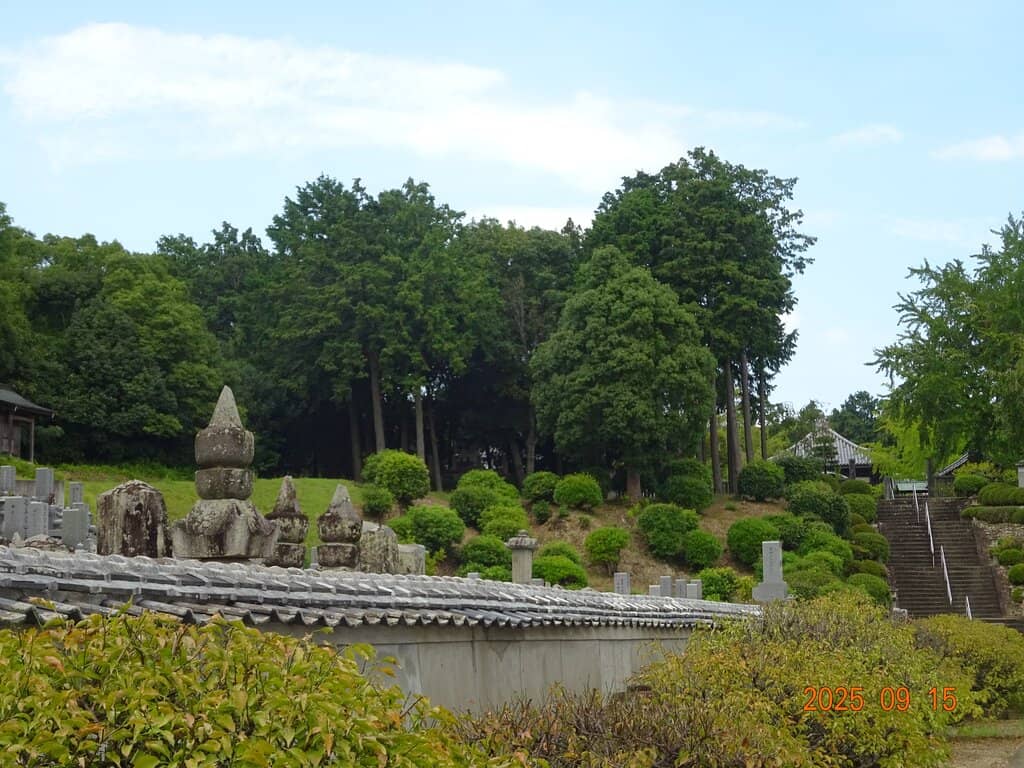Serene Temple Atmosphere