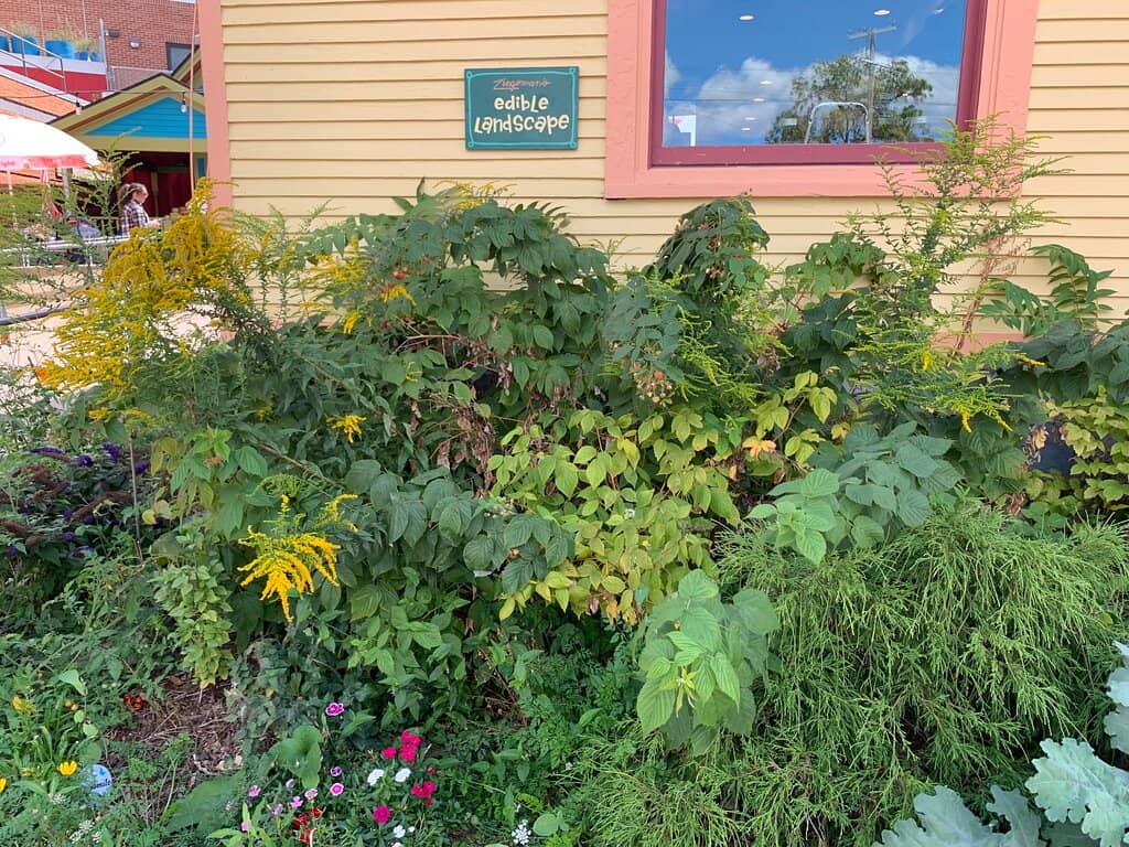 Sunday Artisan Market