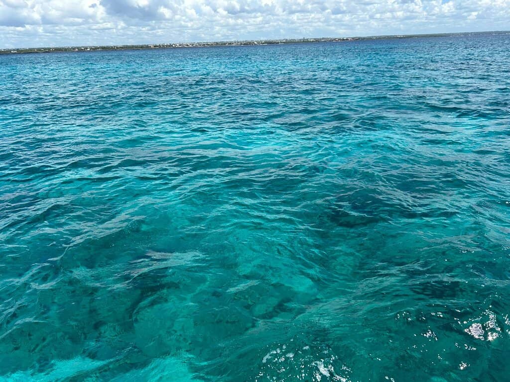 Imposing Ocean Views