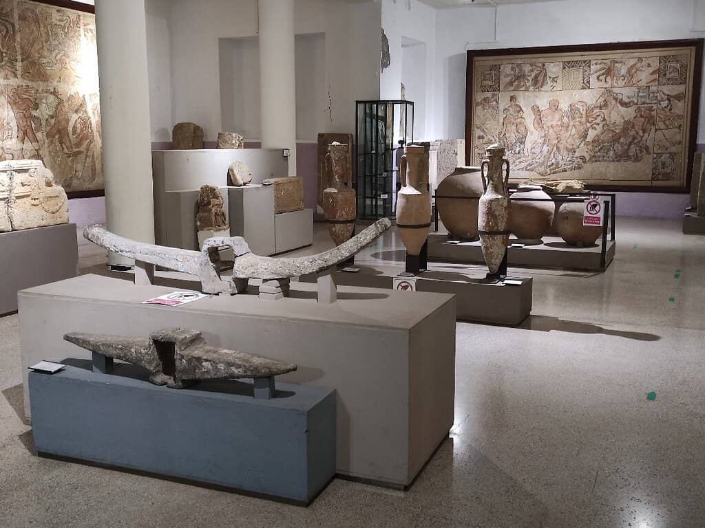 Natural History Collection