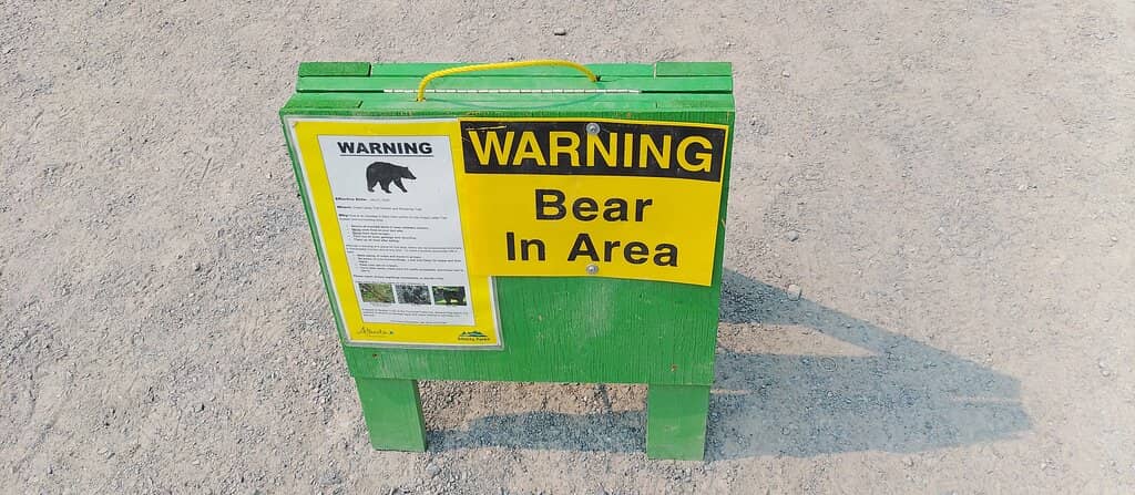 The Emerald and Turquoise Lakes