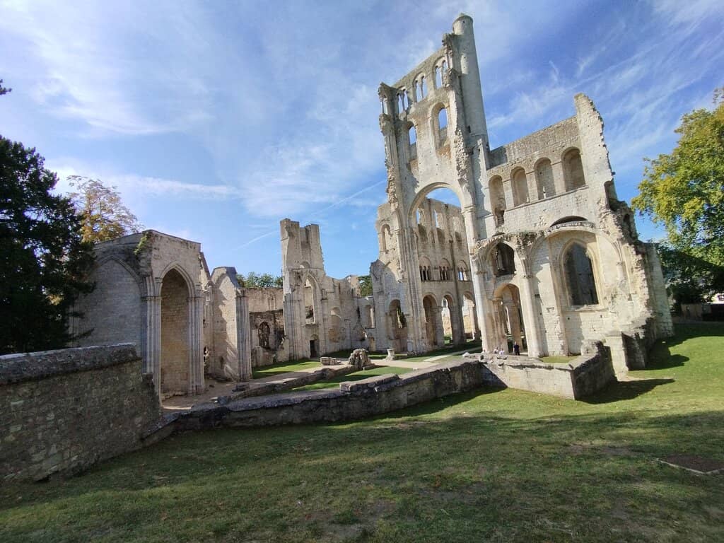 Lush Green Park and Old Trees