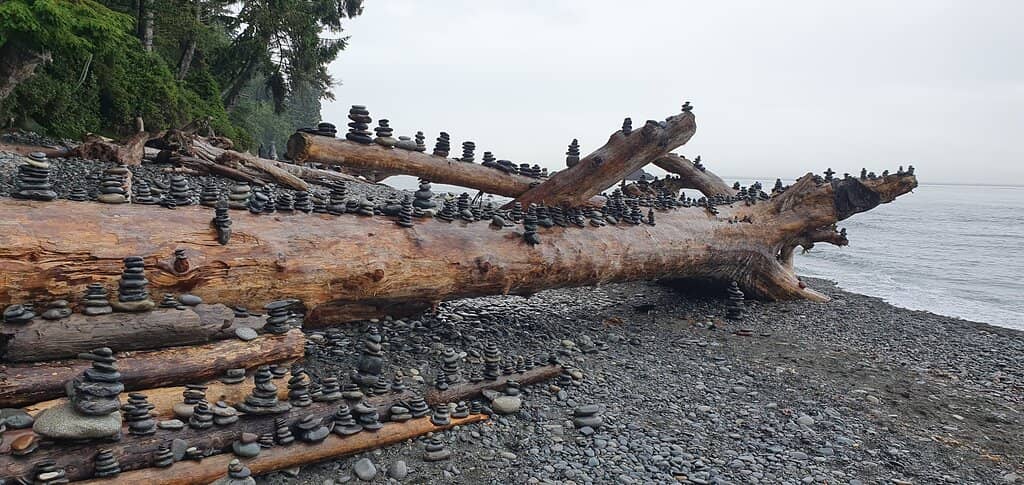 Surfing and Coastal Vibes